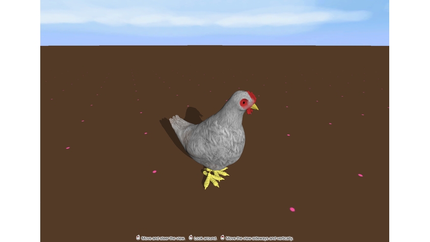 Chicken (Hen)