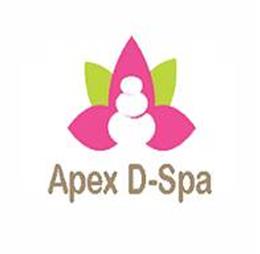 apexdspa2019