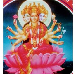 rajeev-trikha