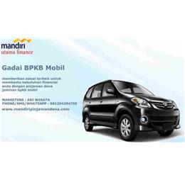 mandiripinjamanddna