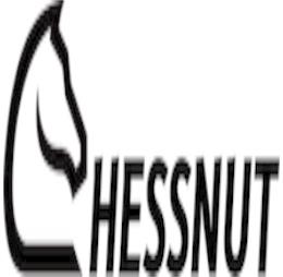 chessnutech