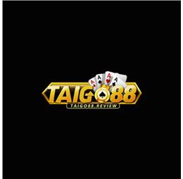 taigo88review