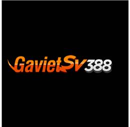gavietsv388pro