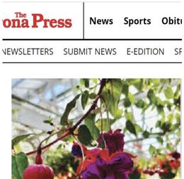 veronapressmuscariag