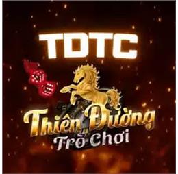 tdtcvn1