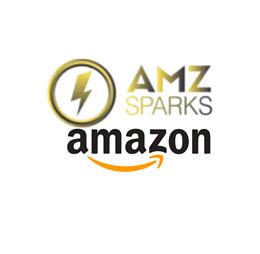 amazonppcservice