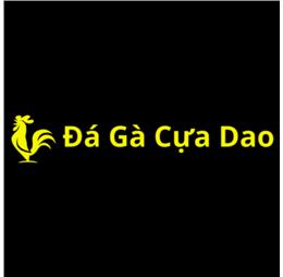 dagacuadaoteam