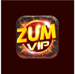 zumvipapp