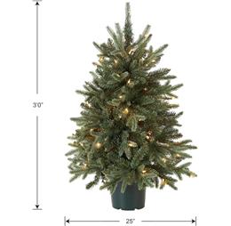 ChristmasTrees