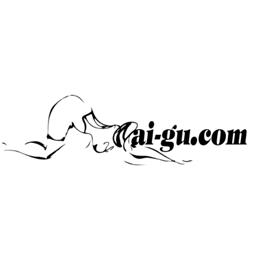 gaigucom