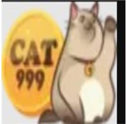 cat999kim