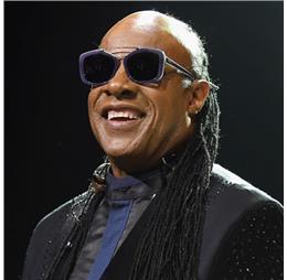 steviewondermerch1