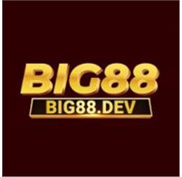 big88dev