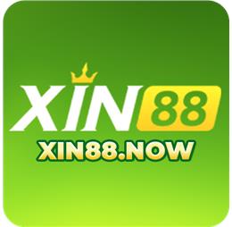xin88now