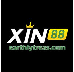 xin88direct