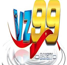 vz99solutions