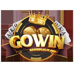 Gowinplusitcom
