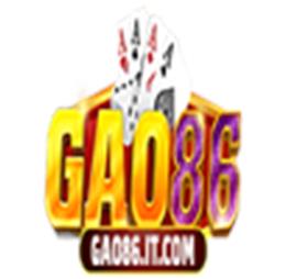 GAO86COM