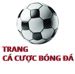 trangcacuocbongdaorg