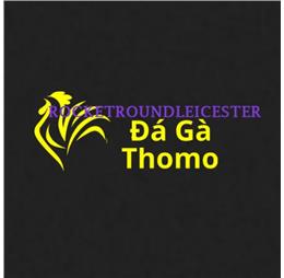 dagarocketround