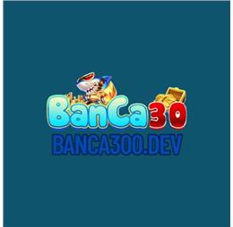 banca300dev