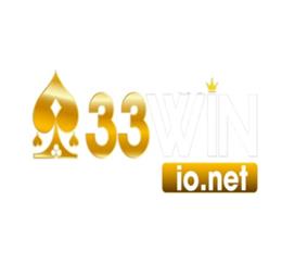 33winionet1