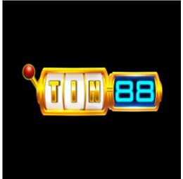 tin88name