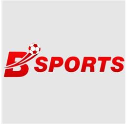bsportcasino1