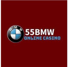 bmw555pro