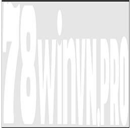 78winvnpro1