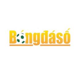 bongdasovipcon