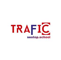dvtrafficseotop