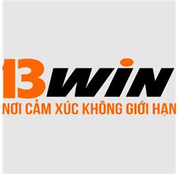 13windomains