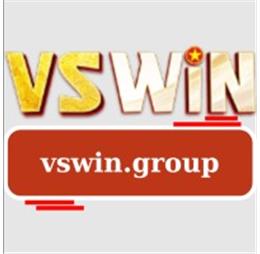 vswingroup