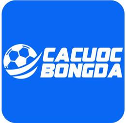cacuocbongdavin
