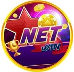 Netwincomco