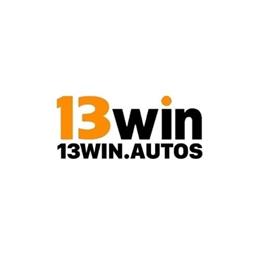 13winautosvn1