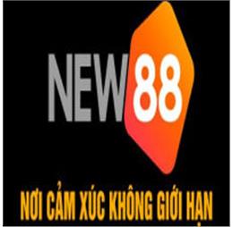 new882info1