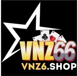 Vnz6shop