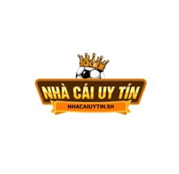 Nhacaiuytinshvn