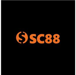 sc88skin