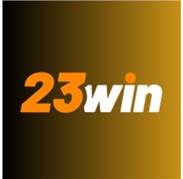 23wincam