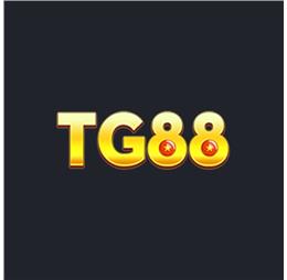 Tg88netim