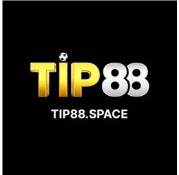 tip88space