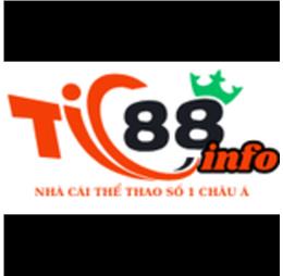 tic88info1