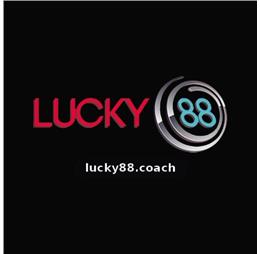 lucky88coach