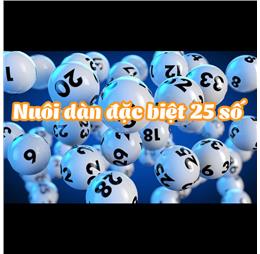 nuoidande25sok1