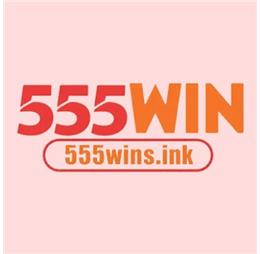 555winsink