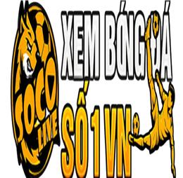 socolive55zxz