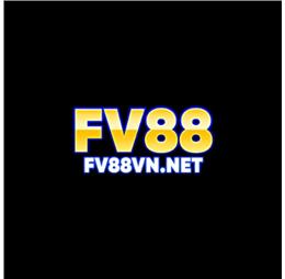 Fv88vnnet